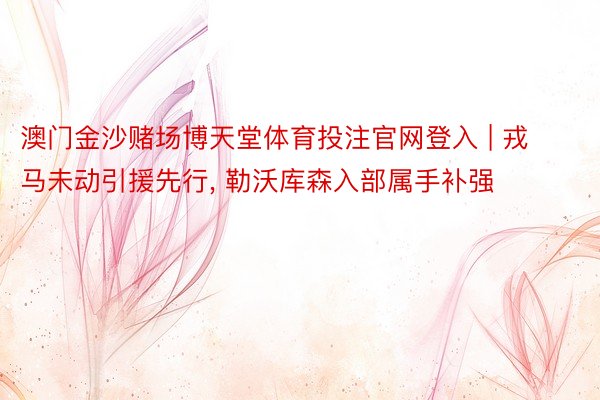 澳门金沙赌场博天堂体育投注官网登入 | 戎马未动引援先行, 勒沃库森入部属手补强