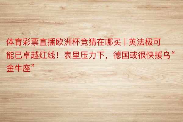 体育彩票直播欧洲杯竞猜在哪买 | 英法极可能已卓越红线！表里压力下，德国或很快援乌“金牛座”