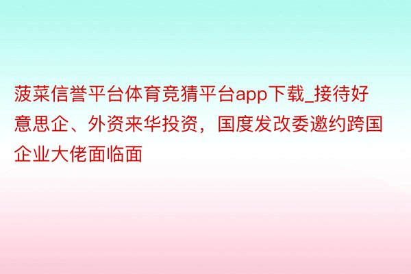 菠菜信誉平台体育竞猜平台app下载_接待好意思企、外资来华投资，国度发改委邀约跨国企业大佬面临面